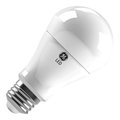 Perfecttwinkle 10 W A19 Led Bulb - White PE2053440